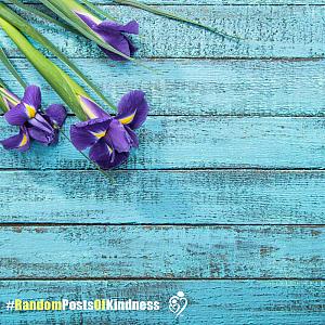kindness-partner-orchids.jpg